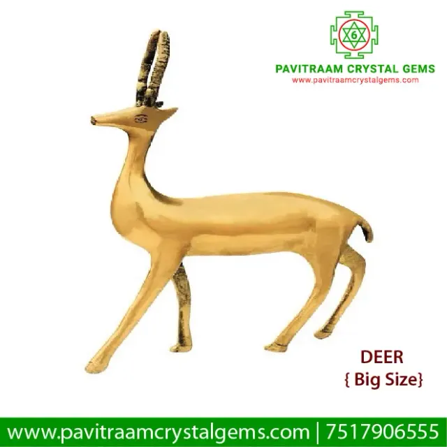 🦌 Deer Idol – West & WNW Zone Energy, Speed & Activeness Enhancer