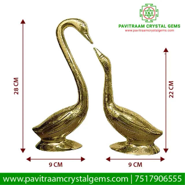 🦢 Pair Of Swans – NNW Zone Grace, Love & Peaceful Bonding Enhancer
